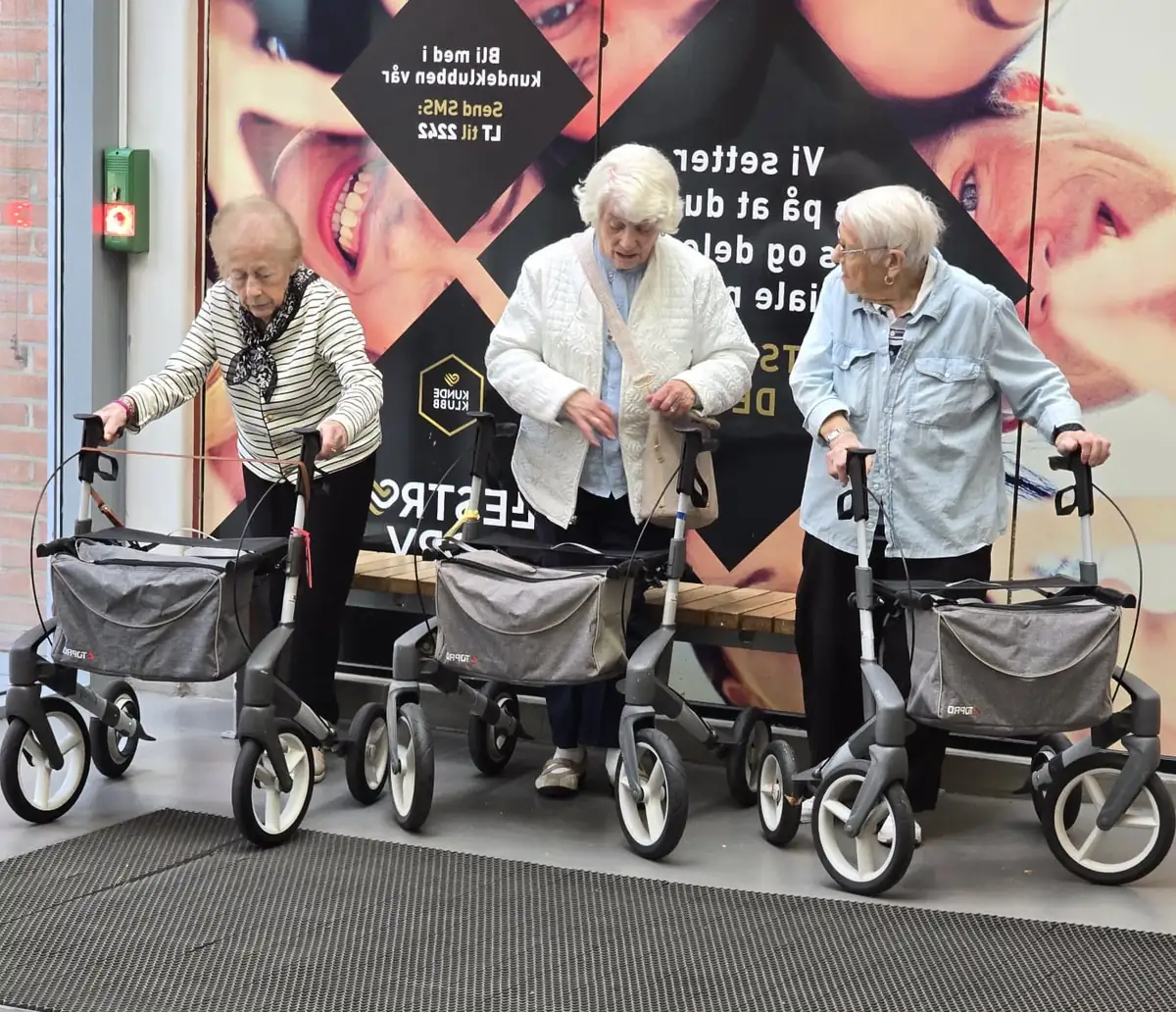 Rollator users in Norway — reference for the outdoor mobility category