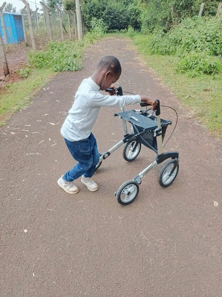 Independent walking on the daily route.